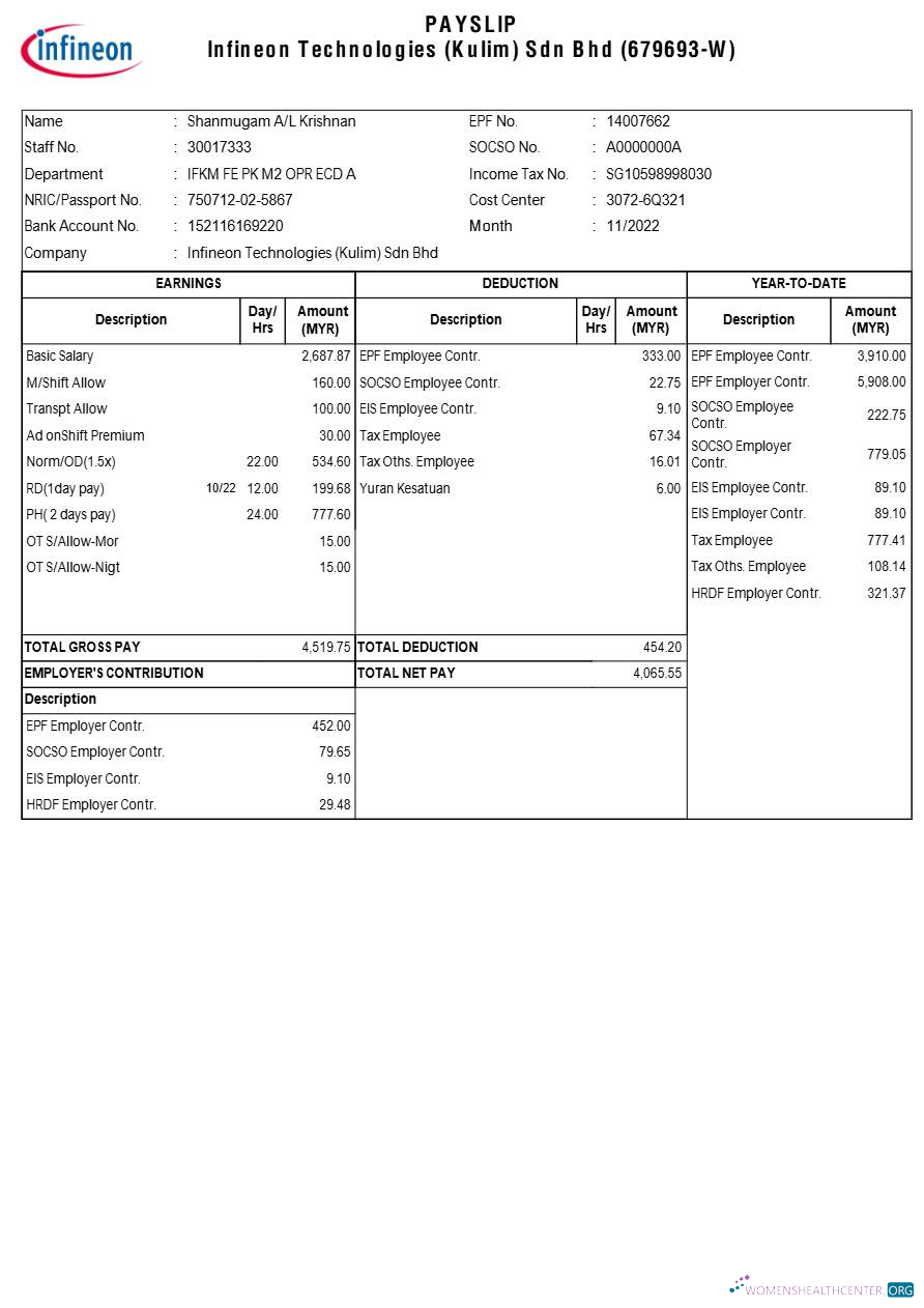 Download Infineon Technologies payslip template in Word and PDF formats.pdf, 1 Photoshop template